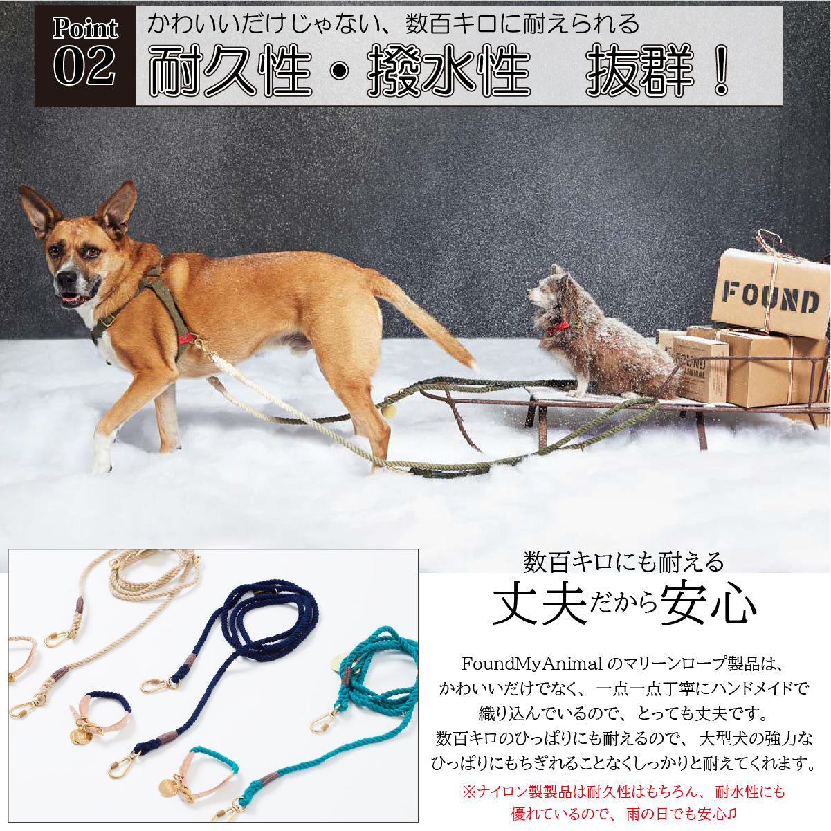 Found My Animal カラー 首輪