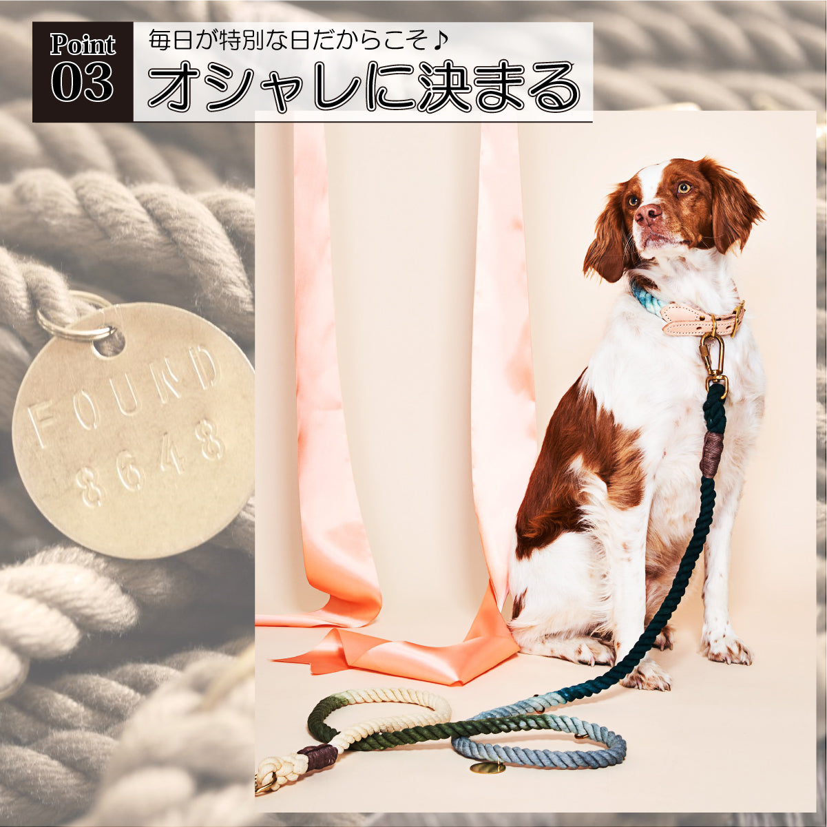 Found My Animal カラー 首輪