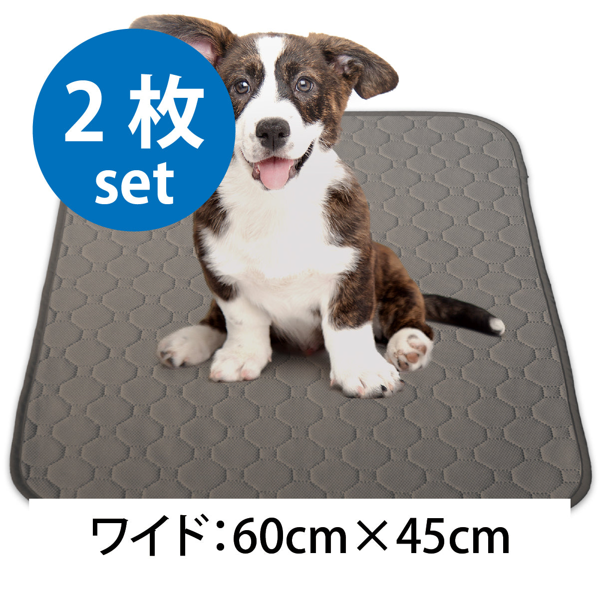 繰り返し 洗える ペットシーツ