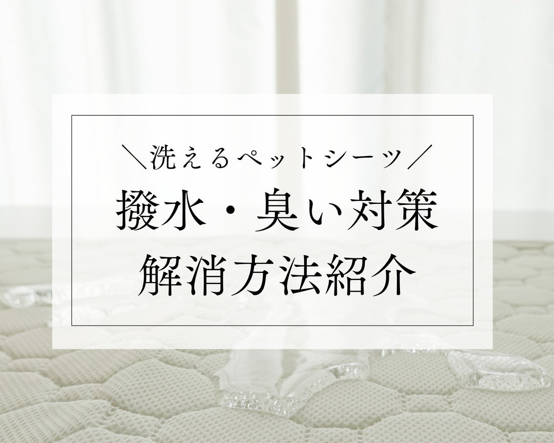 【洗えるペットシーツ】撥水・臭い対策解消方法ご紹介