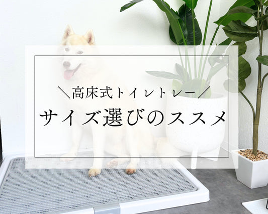 【 高床式トイレトレー 】サイズ選びのススメ♪