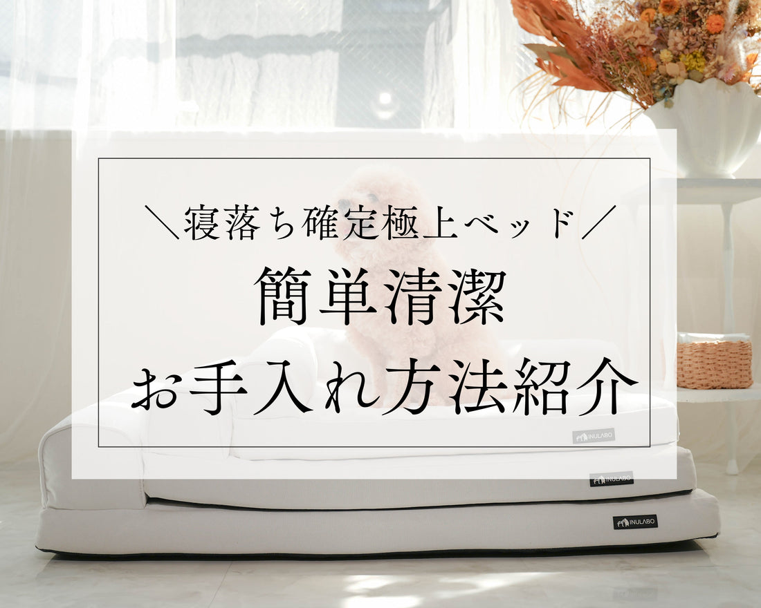 【寝落ち確定極上ベッド】簡単清潔お手入れ方法紹介