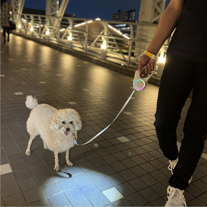光る！伸縮リード GoShine 320LM