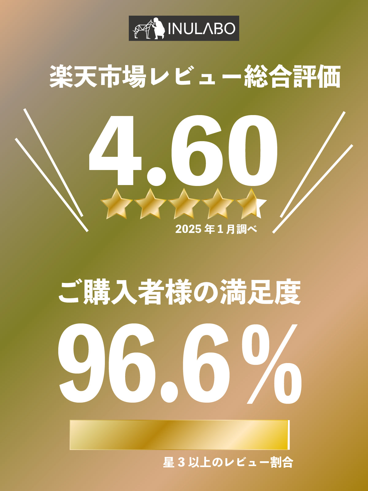 段差がない 滑らない シリコントイレ