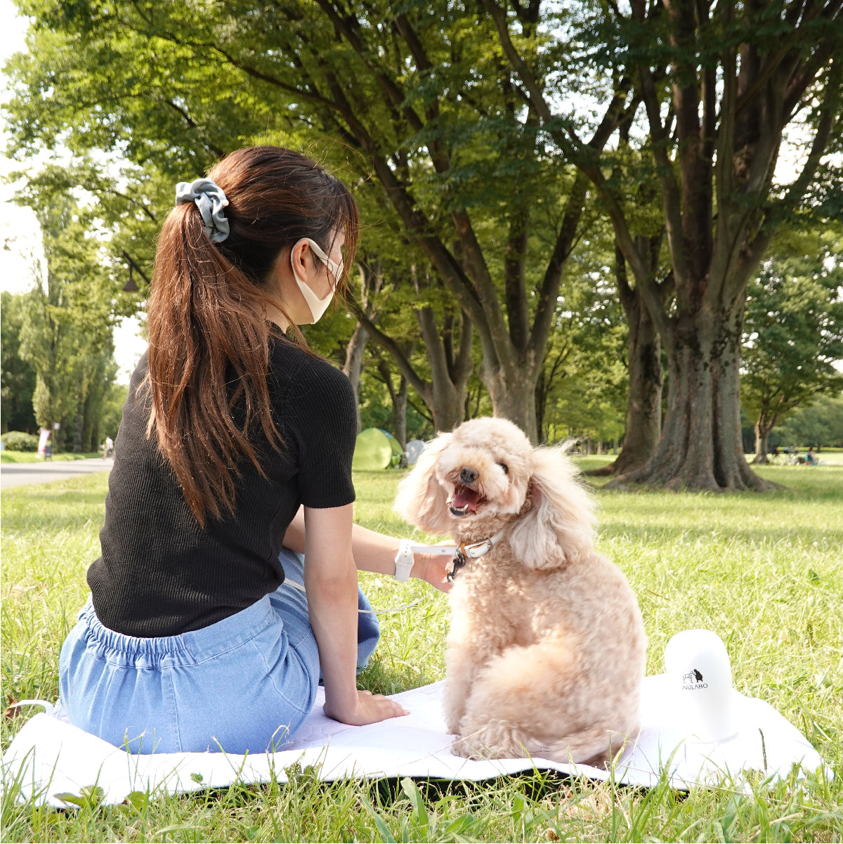 繰り返し 洗える ペットシーツ