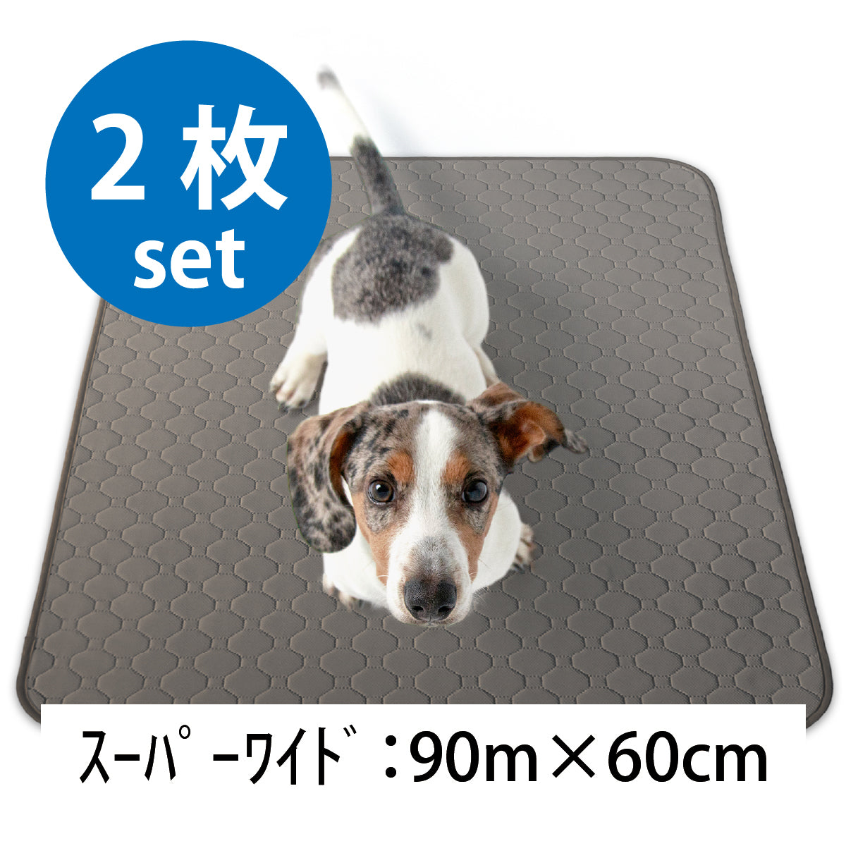 繰り返し 洗える ペットシーツ