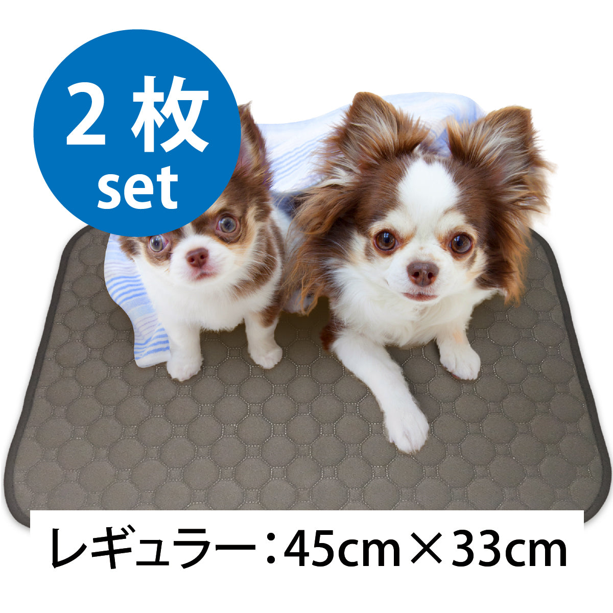 繰り返し 洗える ペットシーツ