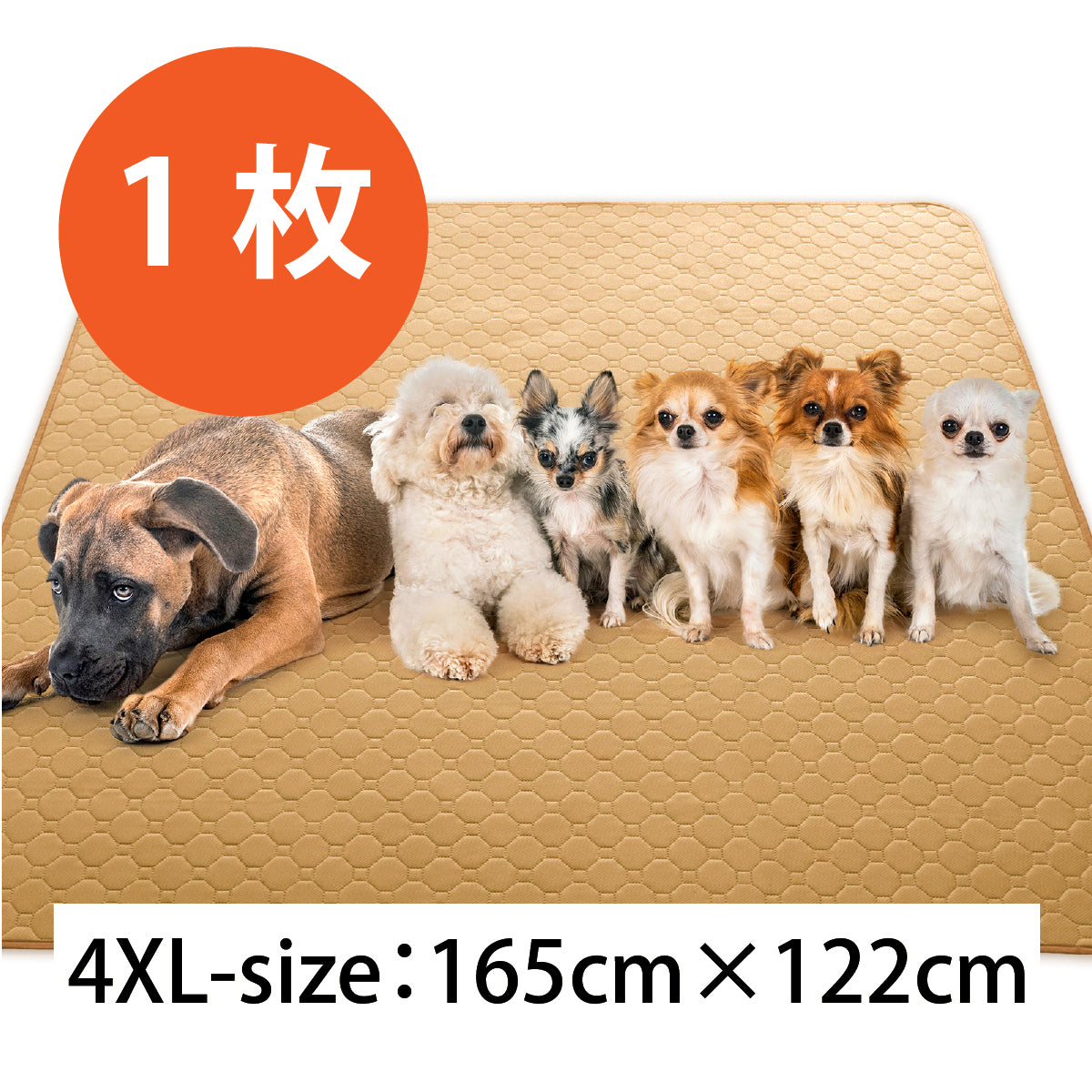 繰り返し 洗える ペットシーツ