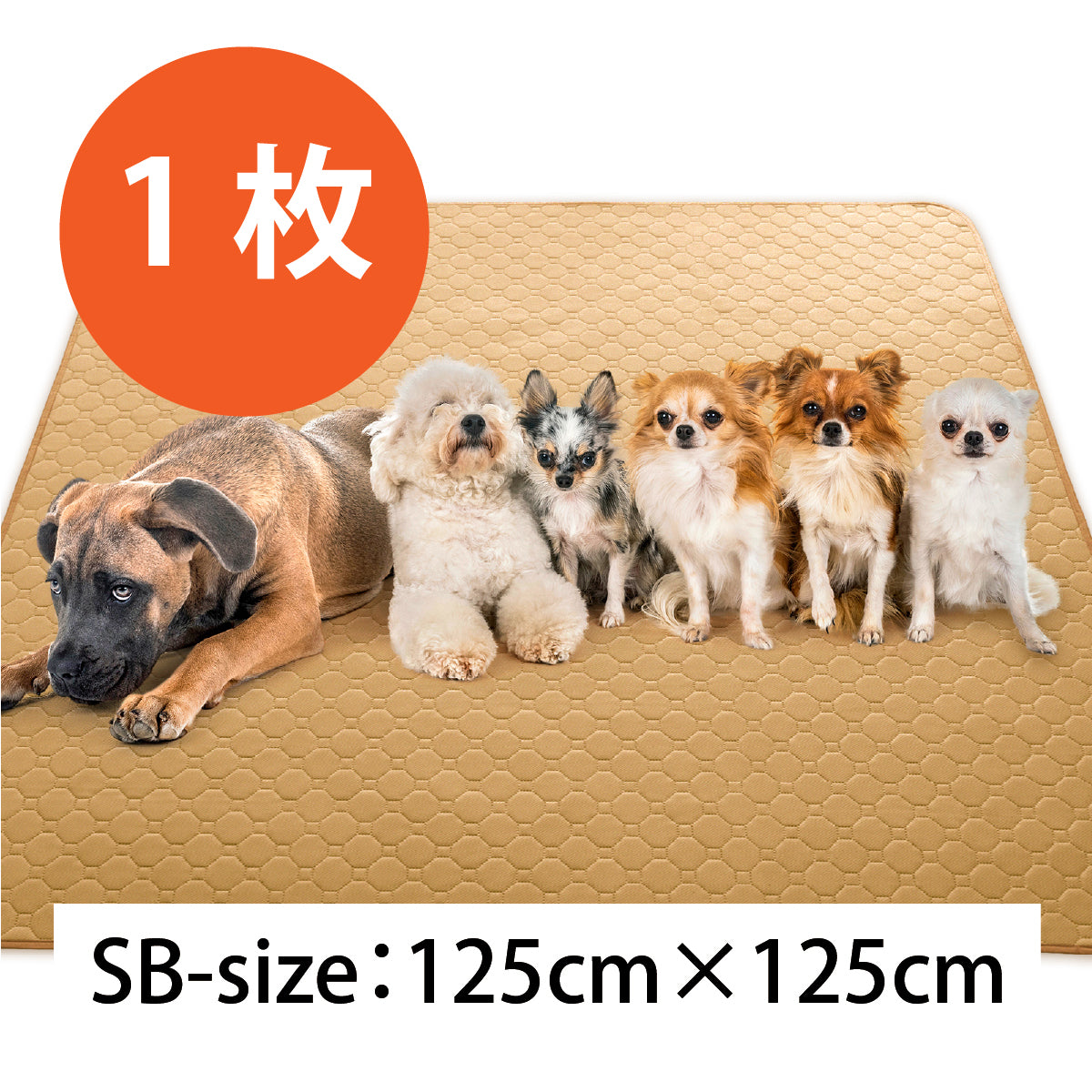 繰り返し 洗える ペットシーツ