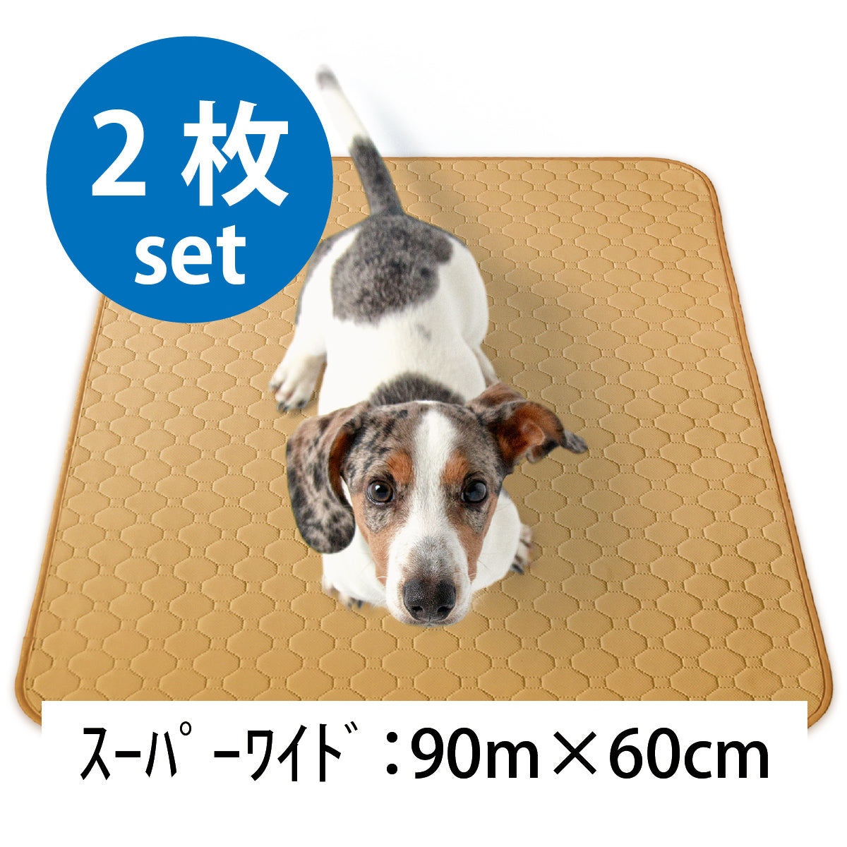 繰り返し 洗える ペットシーツ
