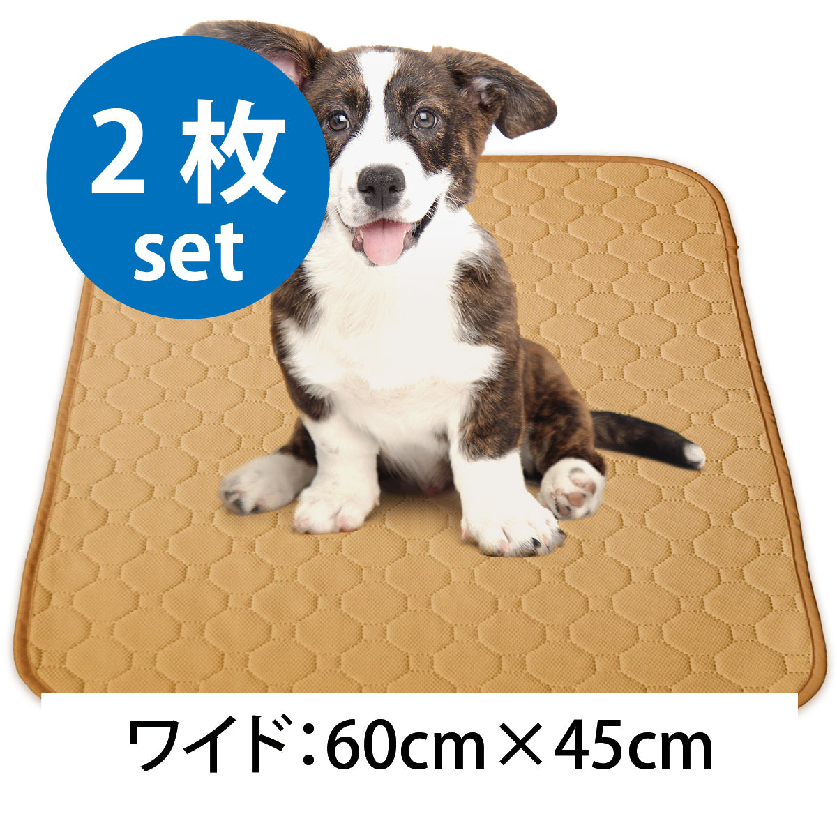 繰り返し 洗える ペットシーツ