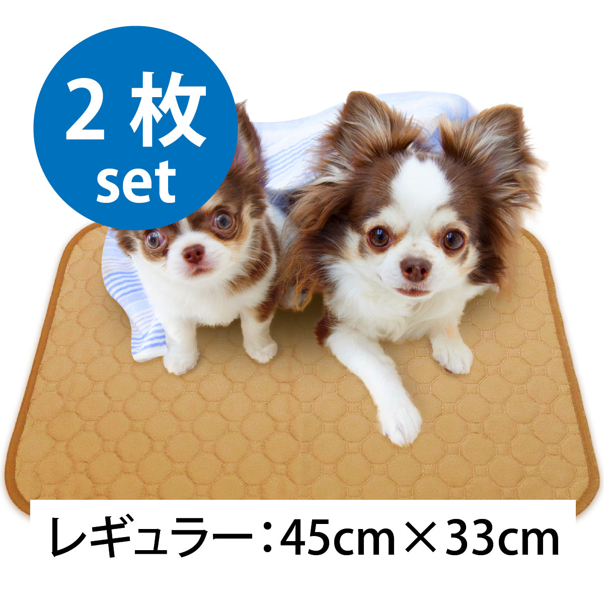 繰り返し 洗える ペットシーツ