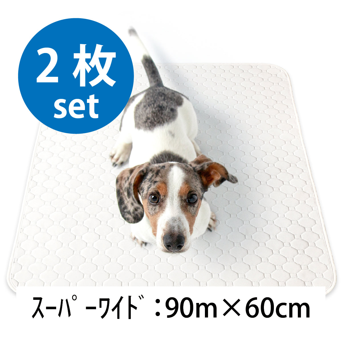 繰り返し 洗える ペットシーツ