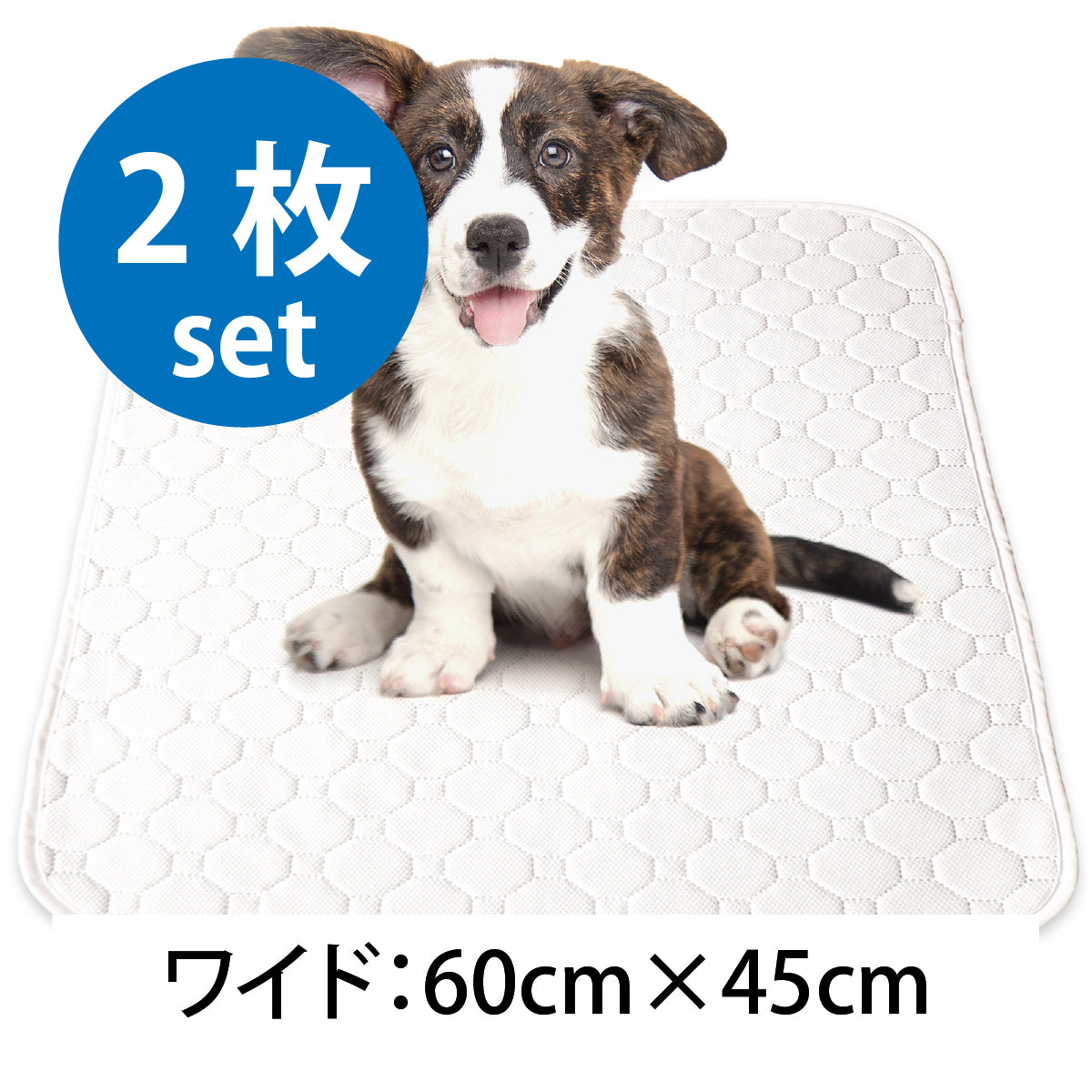 繰り返し 洗える ペットシーツ