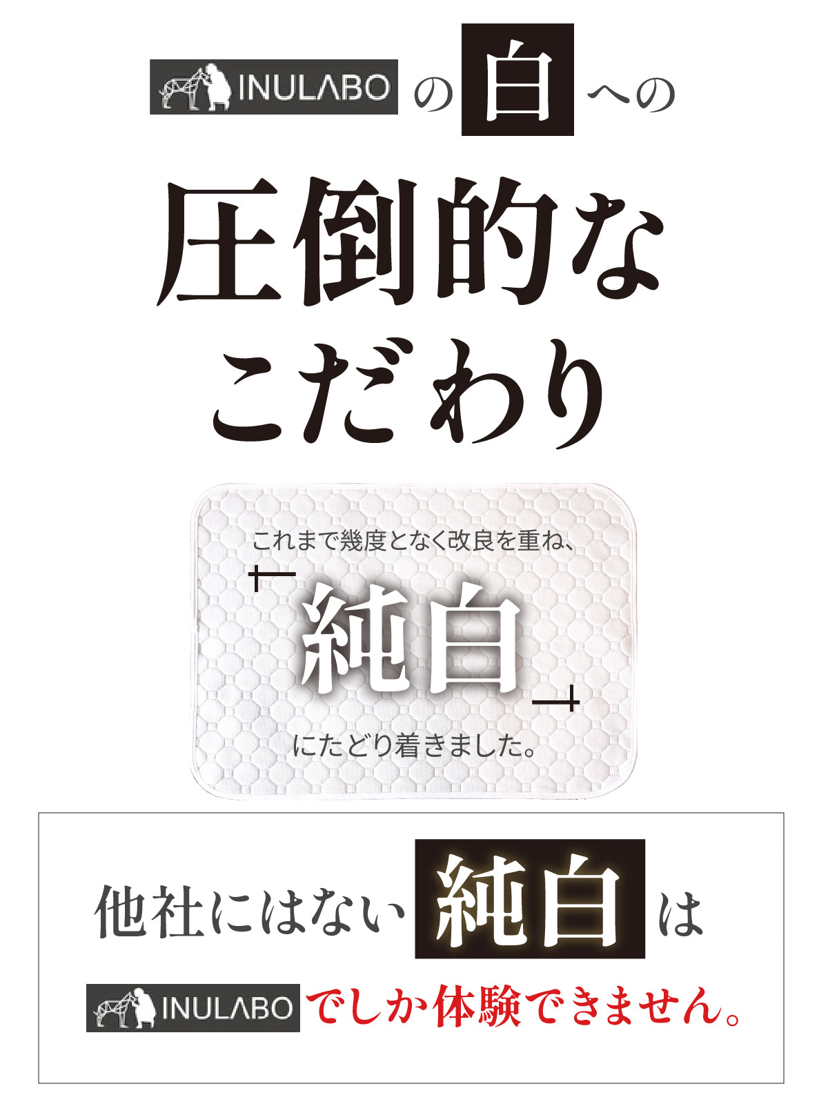繰り返し 洗える ペットシーツ