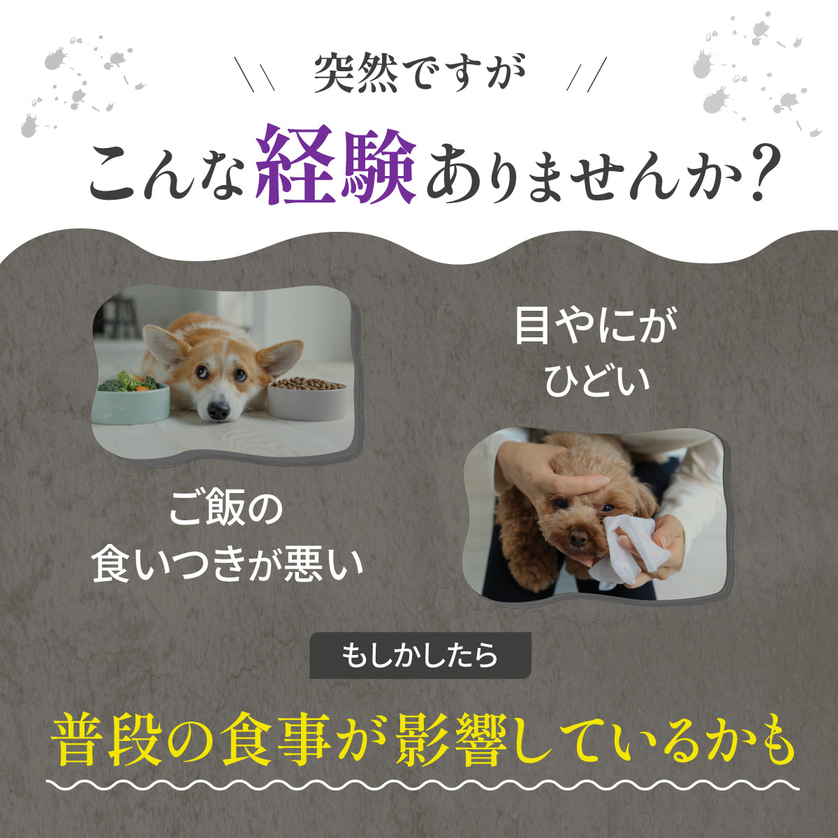 無添加 ご褒美 おやつ オメガジョイスティック