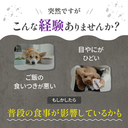 無添加 ご褒美 おやつ オメガジョイスティック